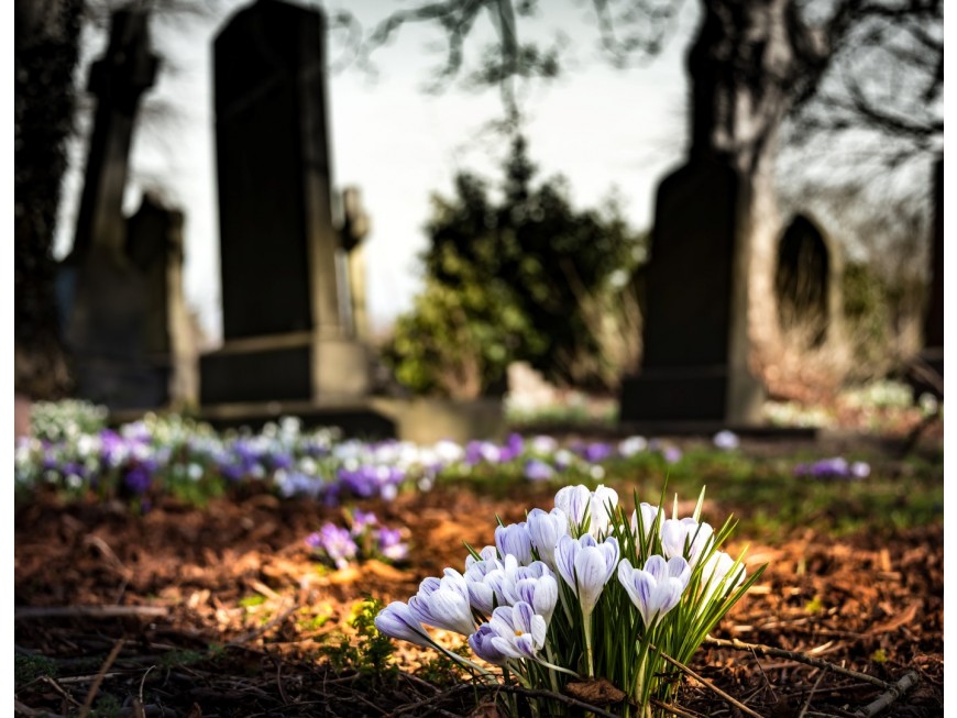 Cremation Options: Understanding the Choices